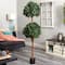 Nearly Natural; 6ft. Potted Sweet Bay Double Ball Topiary Plant; Category:Trees & Floor Plants; Image:5